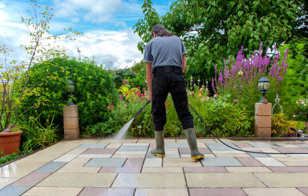 Best Sidewalk and Walkway Cleaning  in Triana, AL